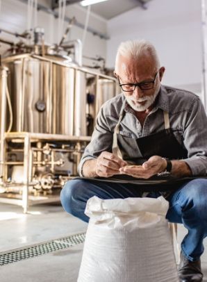 about alcohol - How is beer made